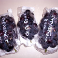 rec-007.jpg