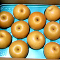 rec-011.jpg