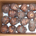 rec-017.jpg