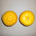 rec-022.jpg