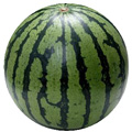 rec-125.jpg