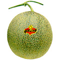 rec-132.jpg
