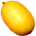 rec-143.jpg